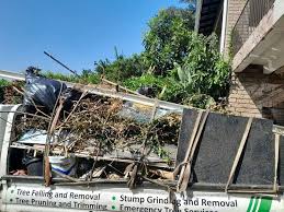 Best Attic Cleanout  in Van, TX