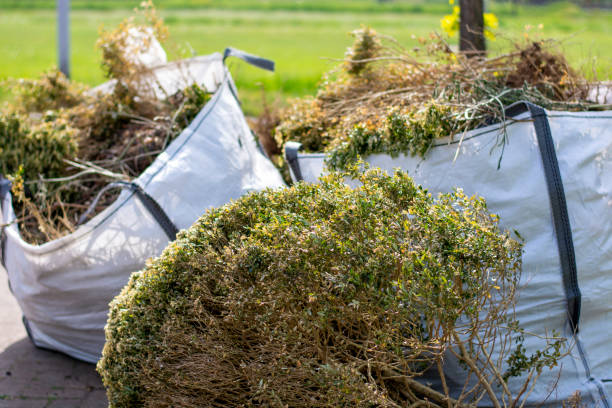 Best Shed Removal  in Van, TX